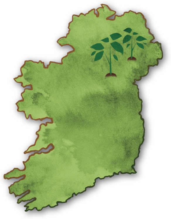 Illustrated map of ireland